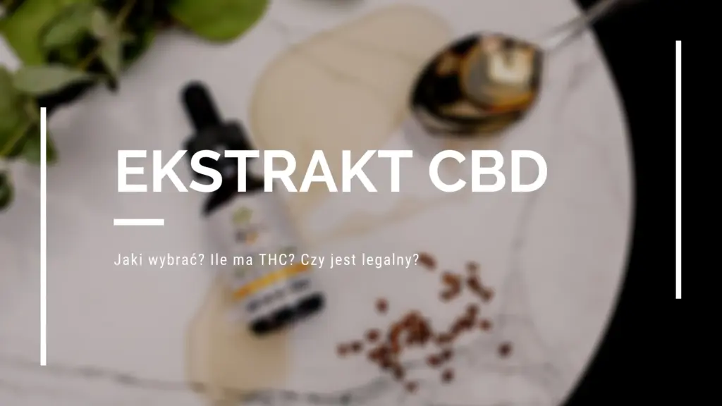 jaki-olejekekstrakt-cbd-wybrac-ile-ma-thc
