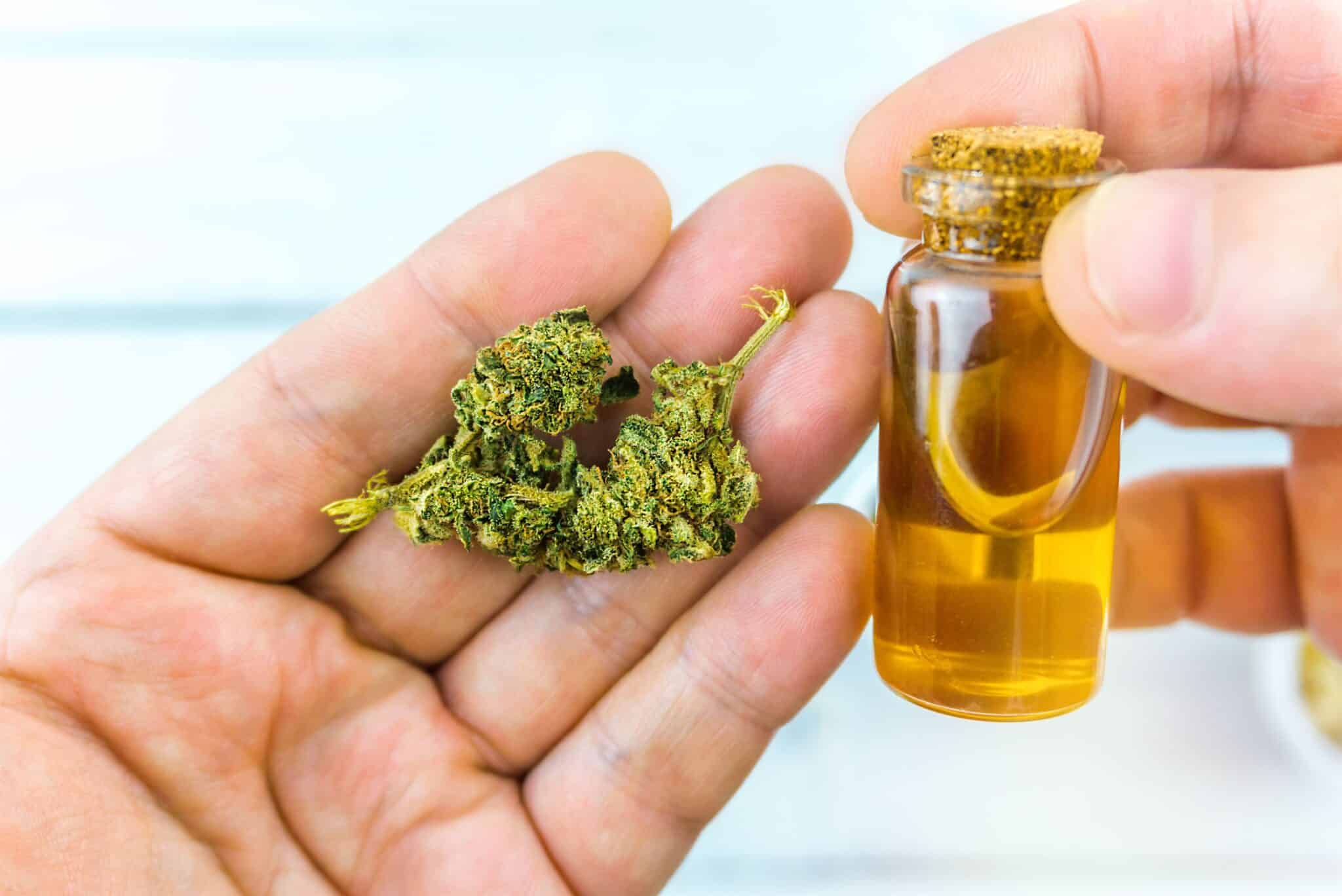 Read more about the article CBD – Gdzie kupić? [3 proste zasady]