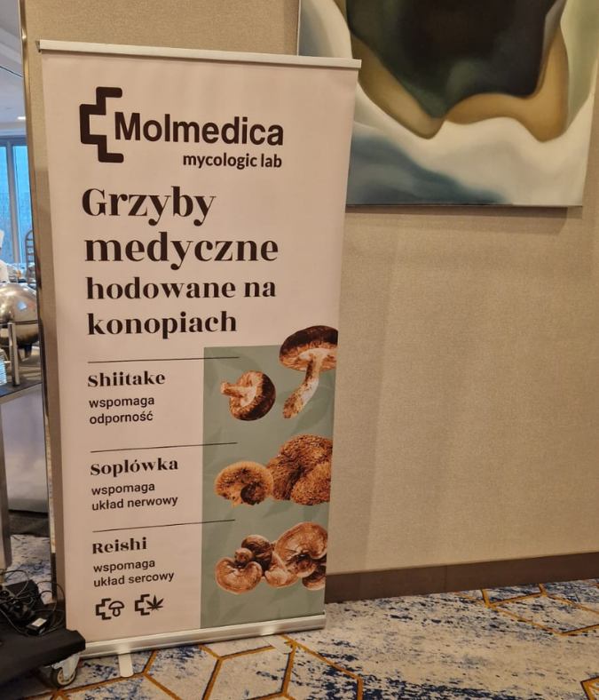 Banner Molpharma Grzyby medyczne 