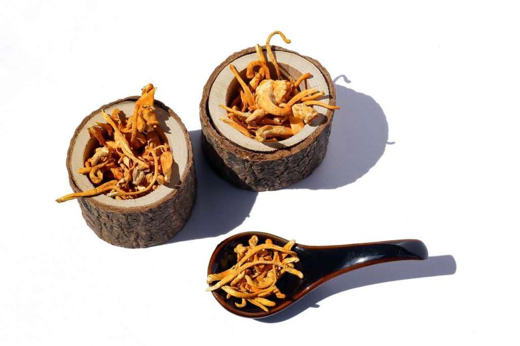 jak-kordyceps-wplywa-na-poprawe-wydolnosci-fizycznej