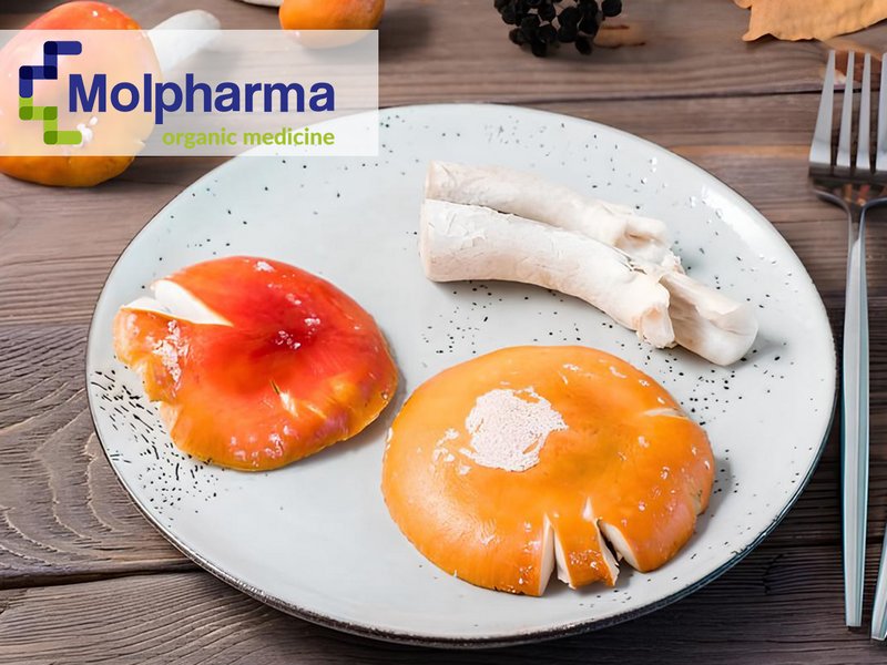 Read more about the article Mikrodozowanie muchomora czerwonego – jak zacząć i jakie są przeciwwskazania?