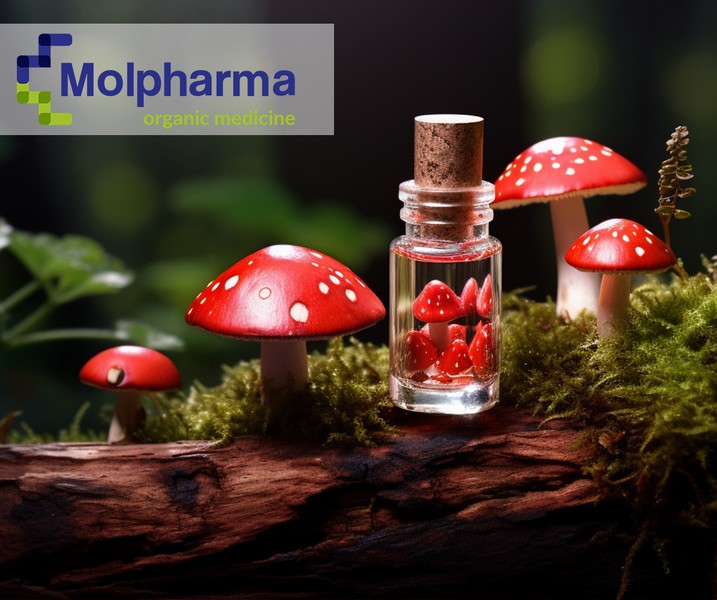 Read more about the article Preparaty z ekstraktem z Muchomora Czerwonego