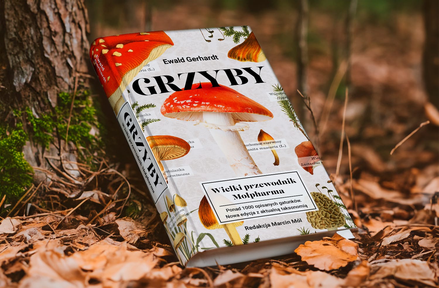 grzyby wielki przewodnik molpharma