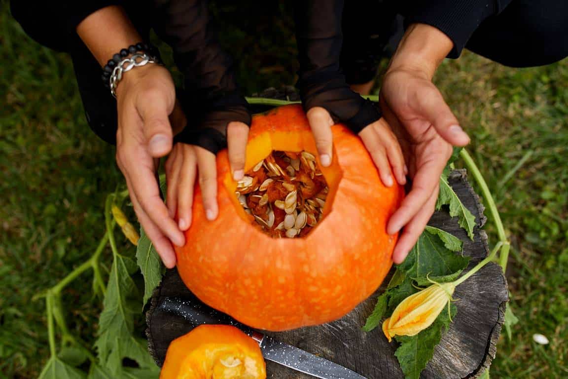 Read more about the article Olej z pestek dyni – naturalny sposób na regenerację, łagodzenie i nawilżenie skóry