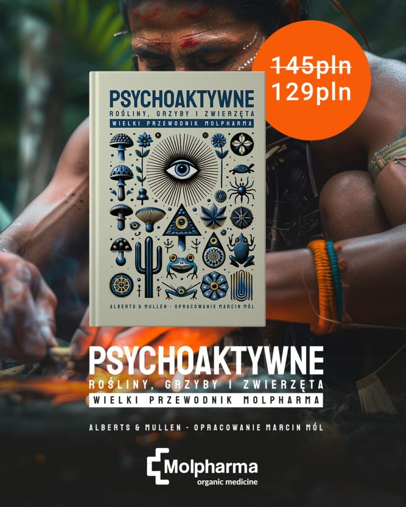 zdjęcie whatsapp 2024 10 31 o 22.09.45 e8e64325