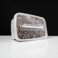 Grzyby psylocybinowe a terapia zaburzeń psychicznych – pełnoprawna kuracja czy ostatnia deska ratunku?