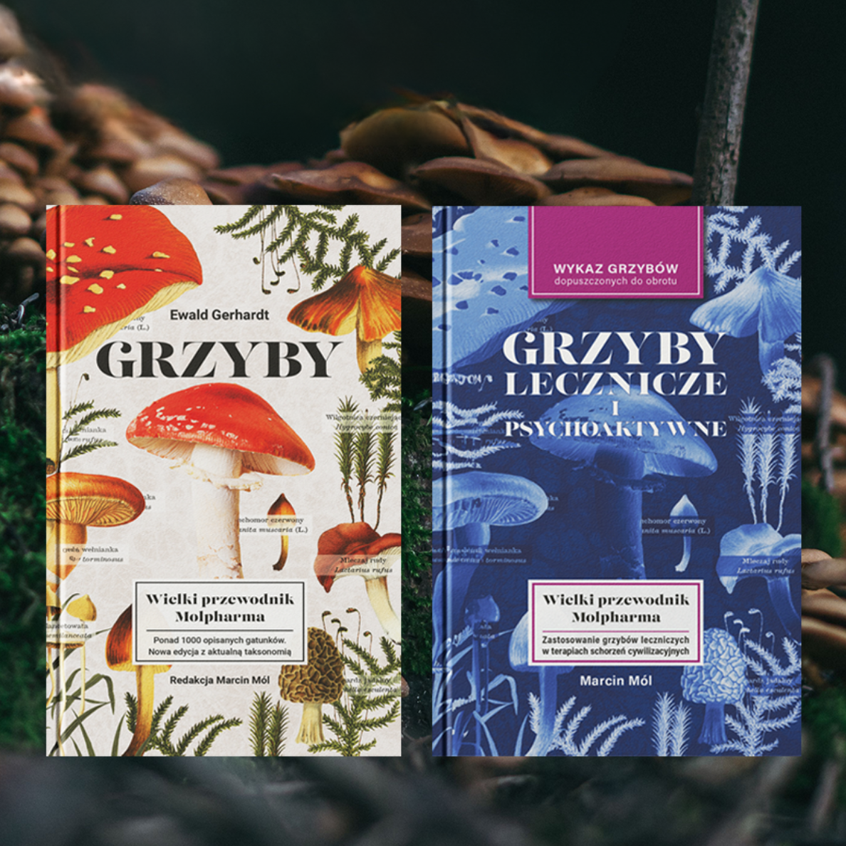 wielki atlas grzybów + grzyby lecznicze i psychoaktywne