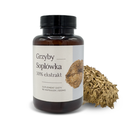 Grzyby Soplówka 90 kaps. 500mg