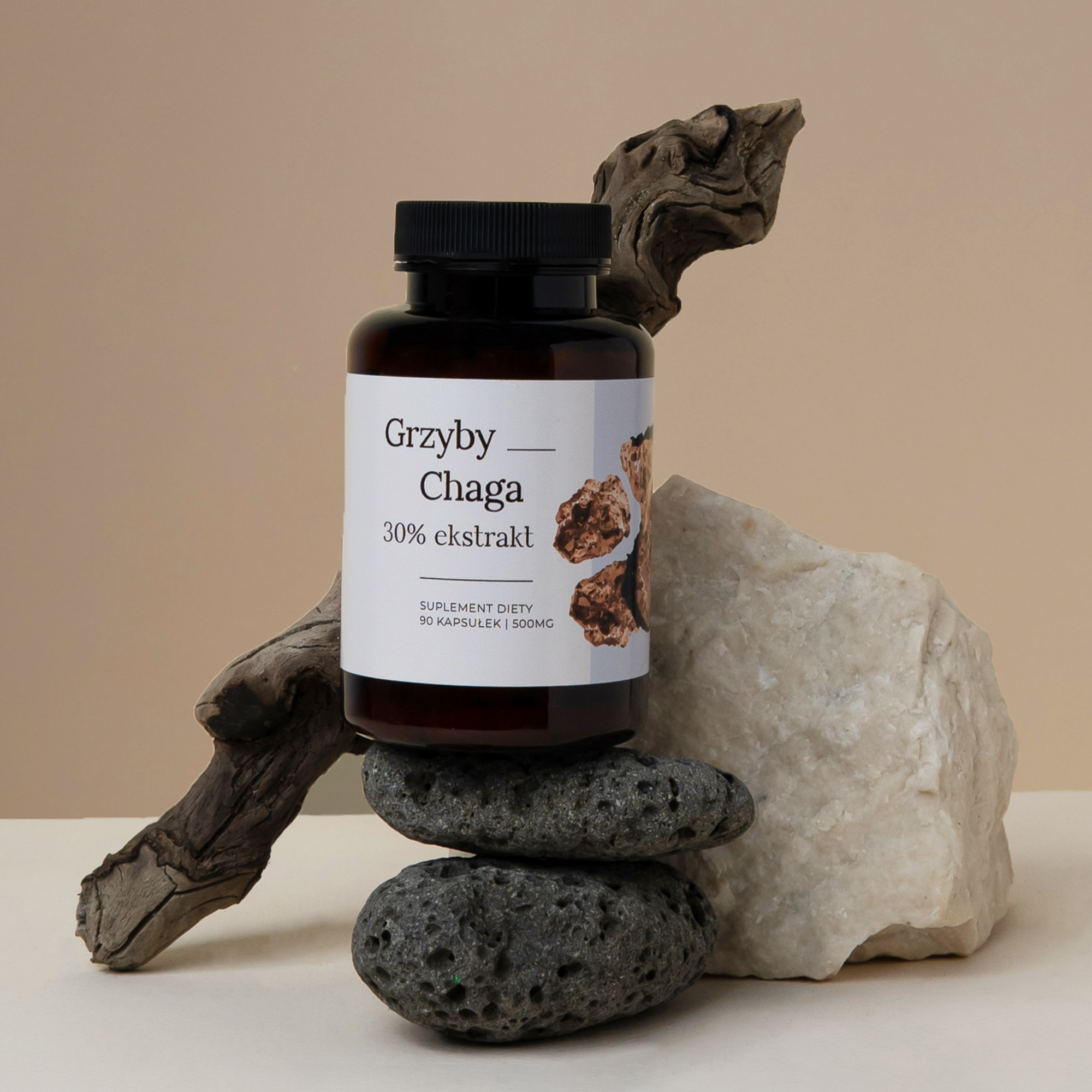 Chaga 90 kaps. 500 mg