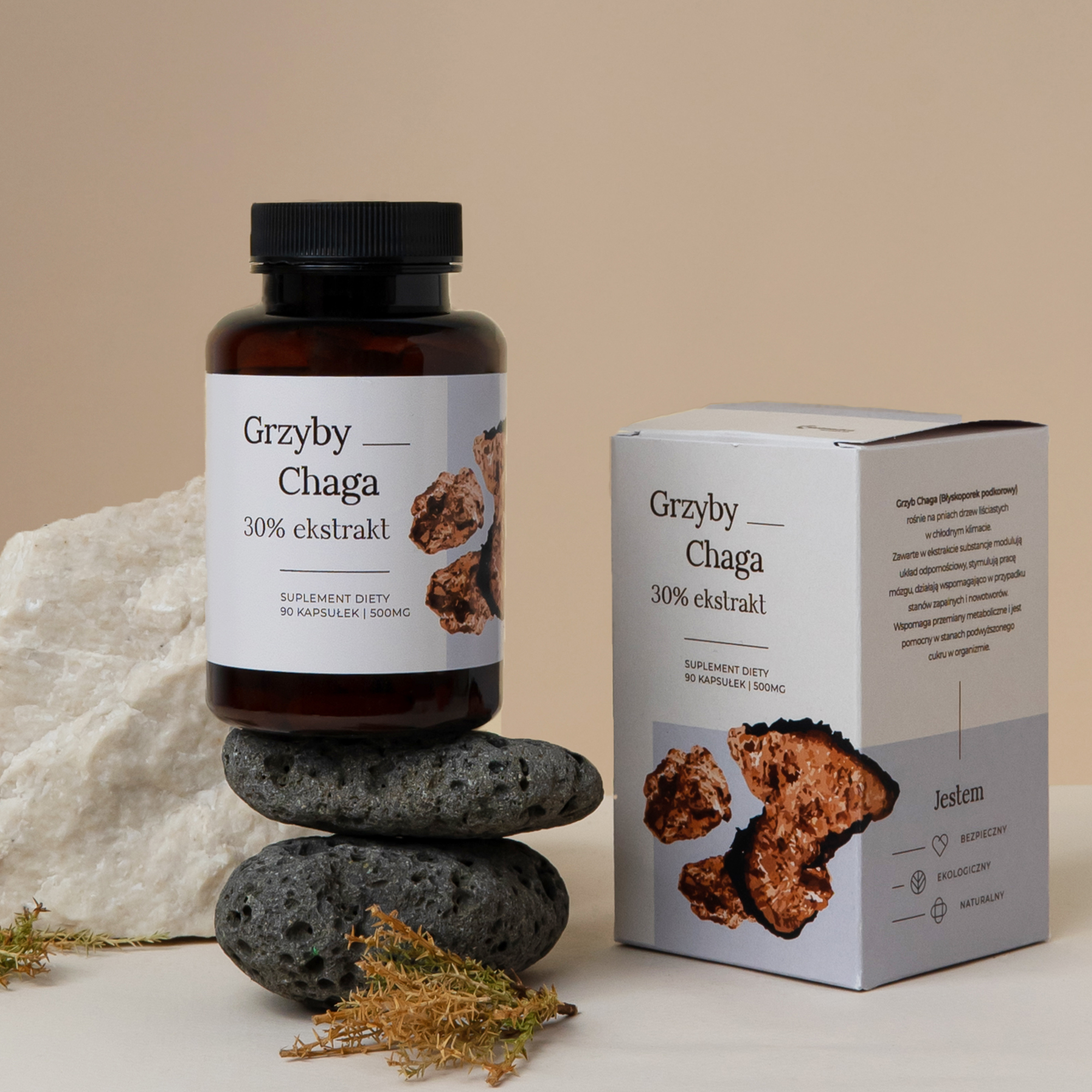 Chaga 90 kaps. 500 mg