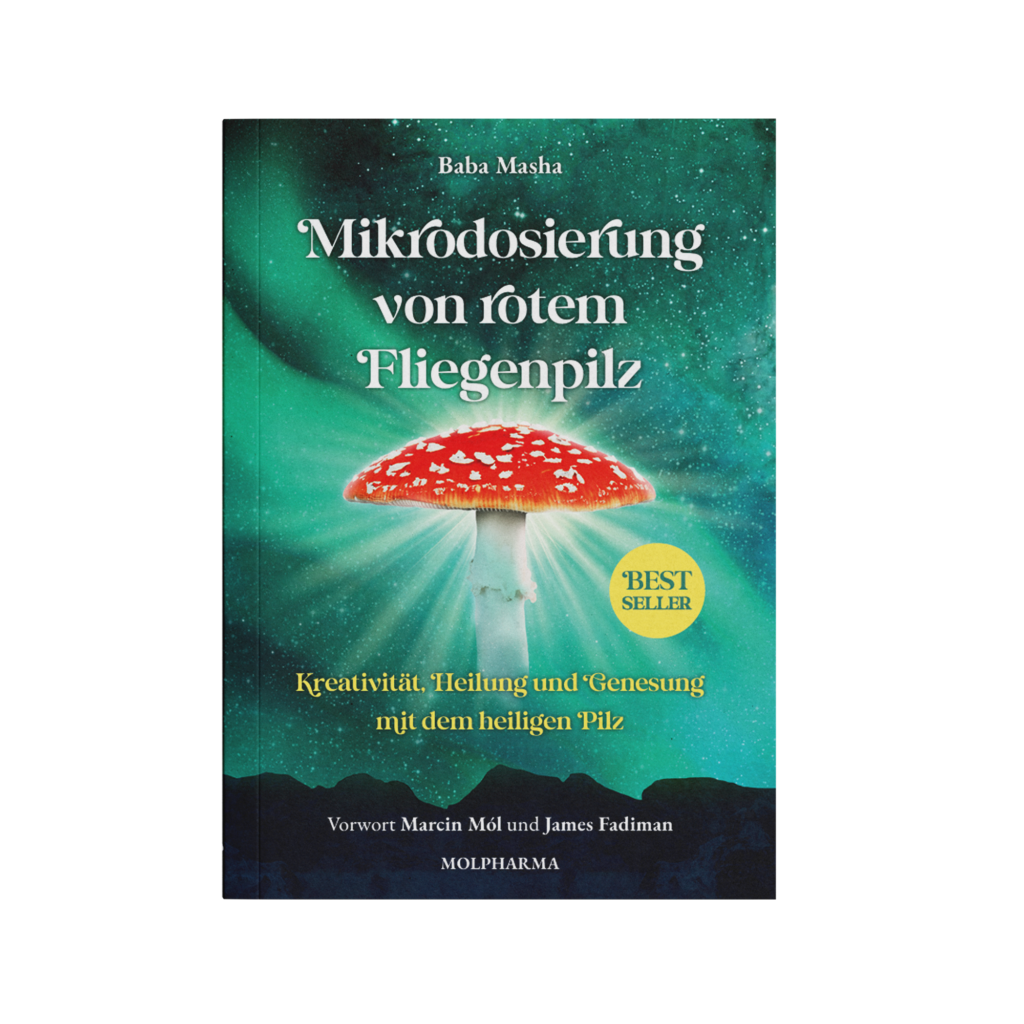 Mikrodosierung von rotem Fliegenpilz Baba Masha